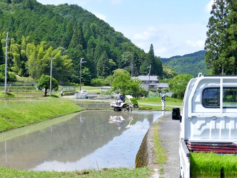 0615田植え①