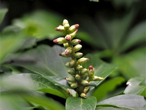 200227ﾌｯｷｿｳ②