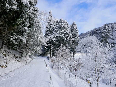 230128散策道①