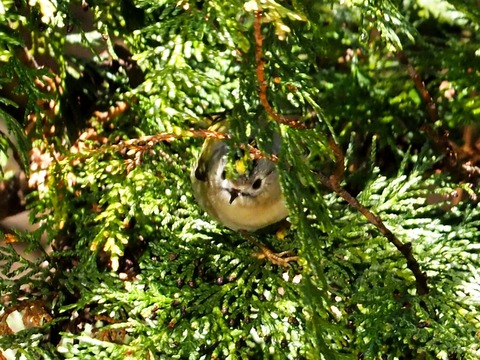 240206ｷｸｲﾀﾀﾞｷ③