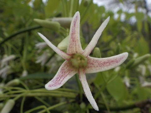 R0010248