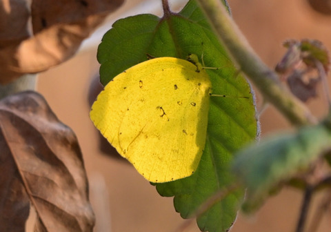 260204ｷﾀｷﾁｮｳ②