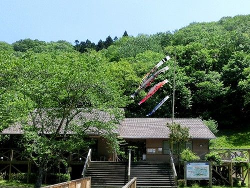 イメージ 1