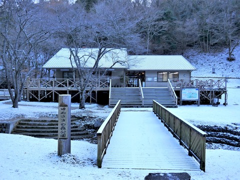 1223雪②