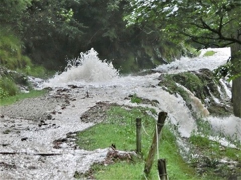 0911集中豪雨 ②