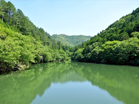 0610通宝寺池①