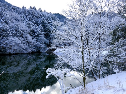230128通宝寺池③