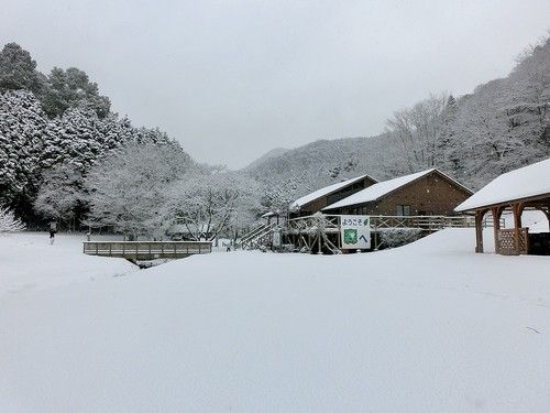 イメージ 3