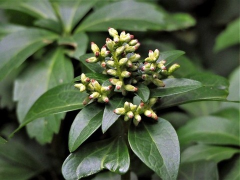 200227ﾌｯｷｿｳ①