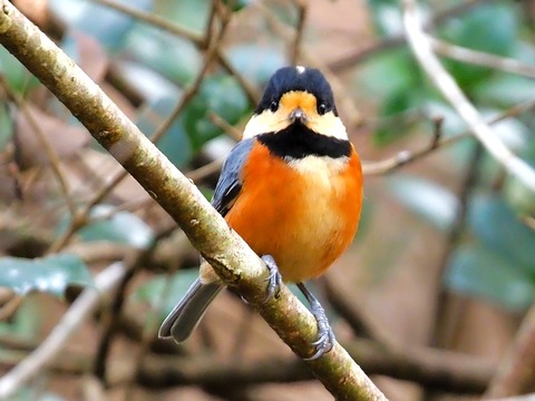 1221ﾔﾏｶﾞﾗ②