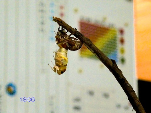 P1240087