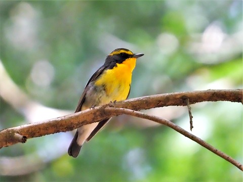 0428ｷﾋﾞﾀｷ⑤