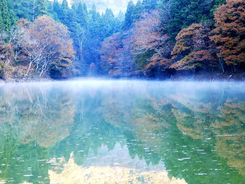 1204通宝寺池①