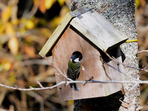 1126ｼｼﾞｭｳｶﾗ⑦