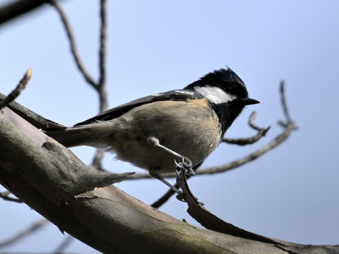 260106ﾋｶﾞﾗ①