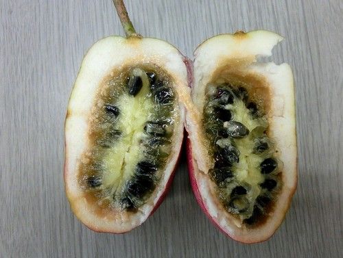 イメージ 2