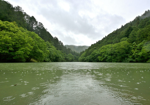 260607_通宝寺池