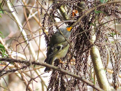 240209ｷｸｲﾀﾀﾞｷ⑥