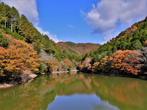 1130通宝寺池①