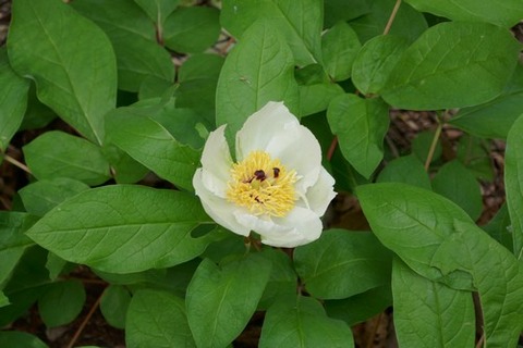 P1020863