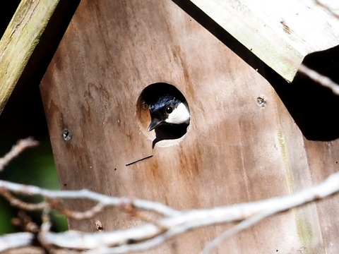 1126ｼｼﾞｭｳｶﾗ⑤