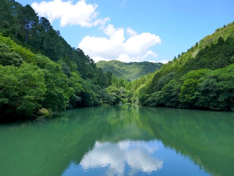 0716通宝寺池②