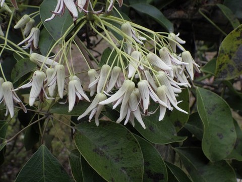 R0010233