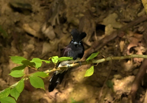 0902ｻﾝｺｳﾁｮｳ③
