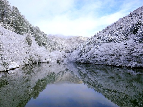 230128通宝寺池①