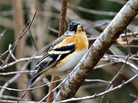 220202ｱﾄﾘ♂②