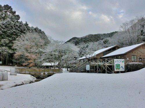 イメージ 1