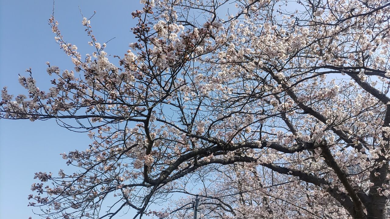 IMG_20220330_095607