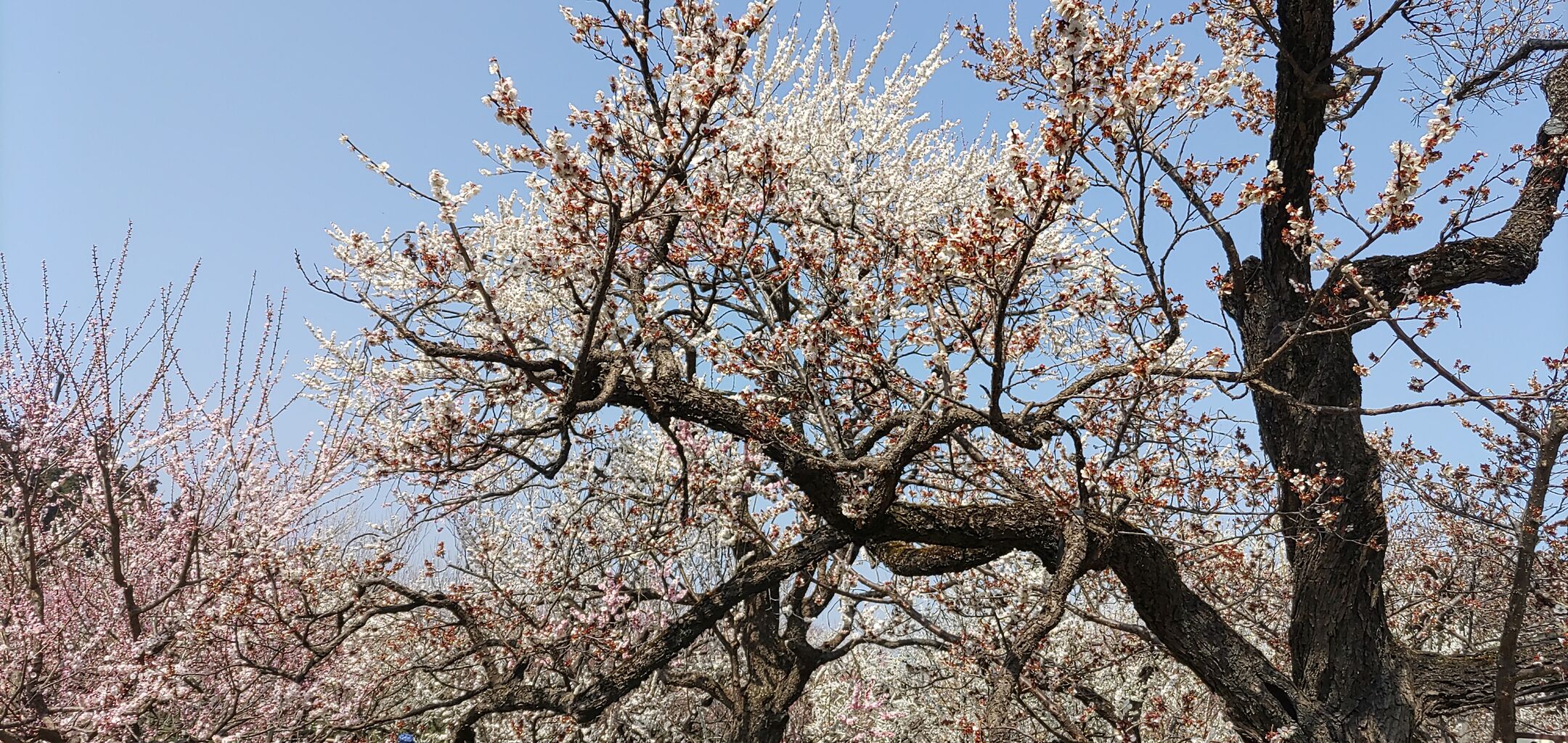 IMG_20230309_113439