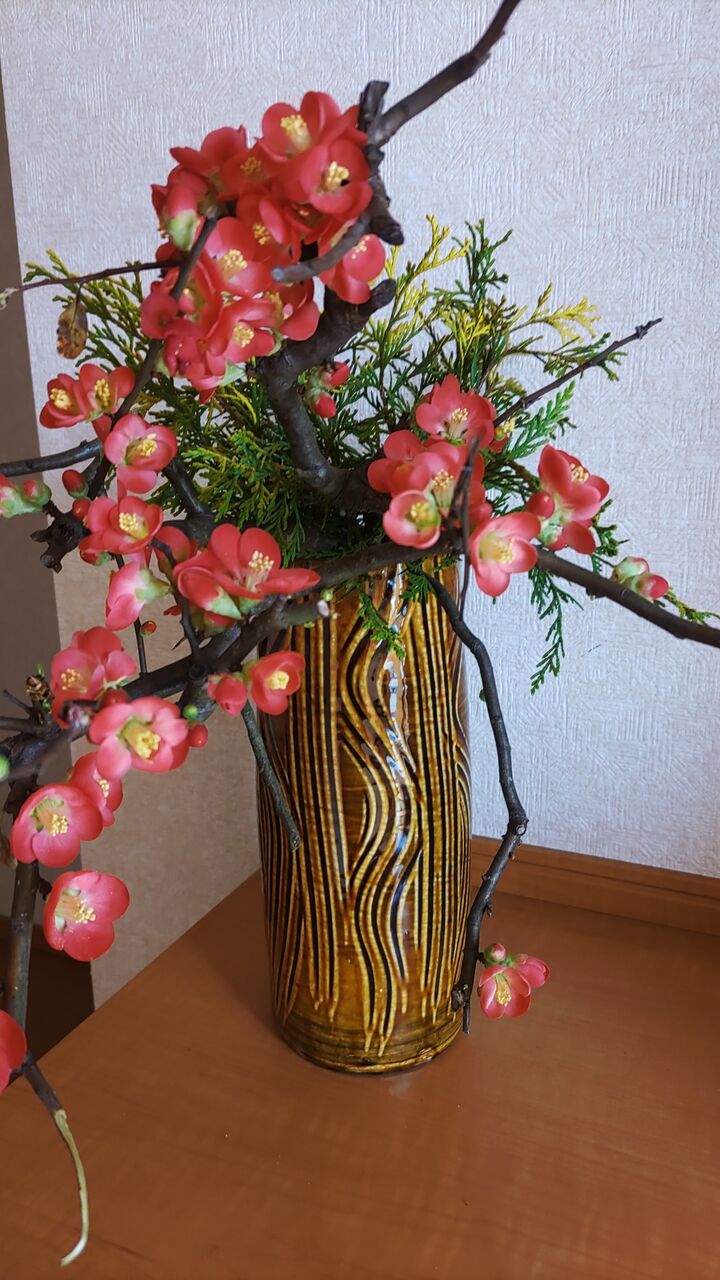 IMG_20220130_113053