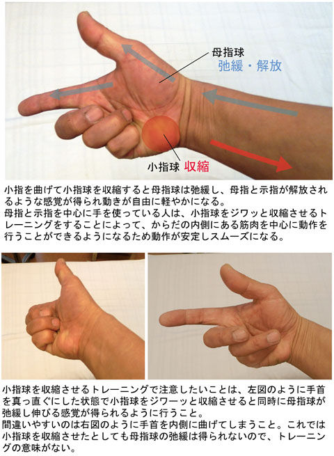 小指球の収縮と母指球の解放