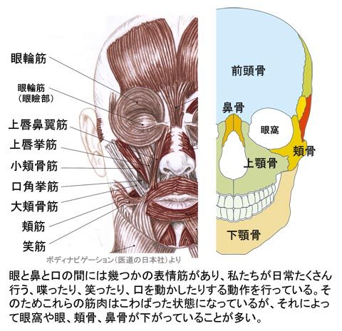 表情筋のこわばりが顔を下げる