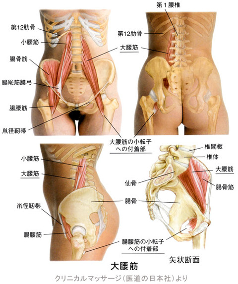 大腰筋02