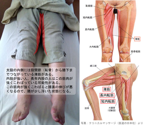 内股_薄筋「こ」