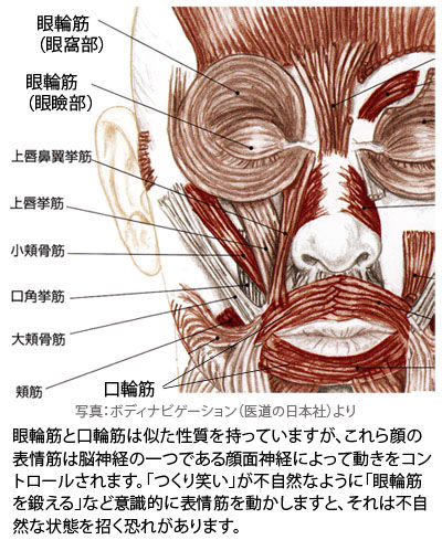 眼輪筋など表情筋