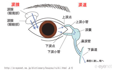 涙器