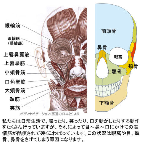 表情筋のこわばりが顔を下げる