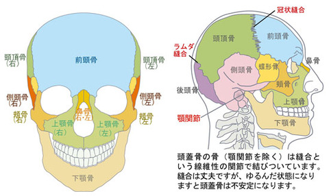 縫合関節2
