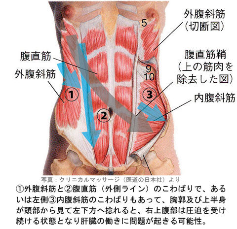 肝臓の圧迫