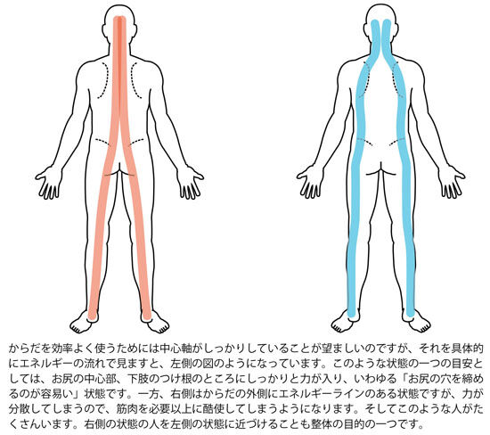 からだのエネルギーの流れ（背面）