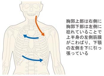 体の捻れで下顎骨を引っ張る