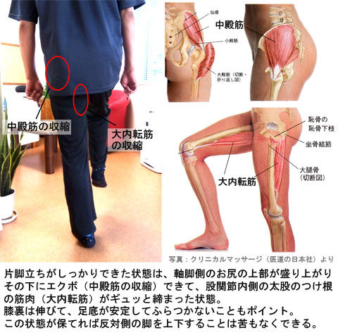 中殿筋と大内転筋の収縮