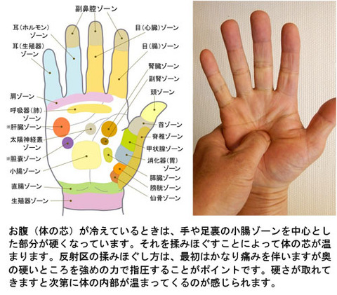 手の小腸区施術