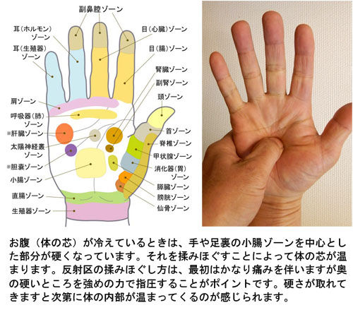 体の芯を温める一つの方法 ゆめとわのblog 体の芯を温める一つの方法 ゆめとわのblog