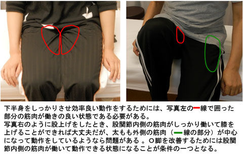 Ｏ脚と股関節_座位腿上げ