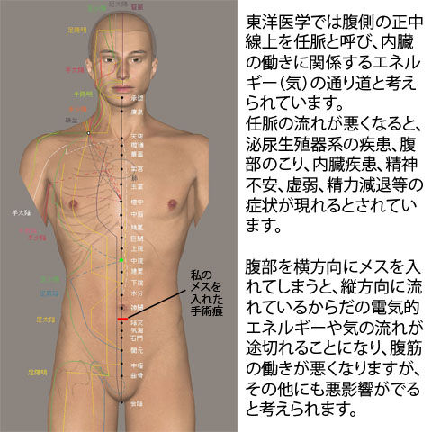 任脈と切開